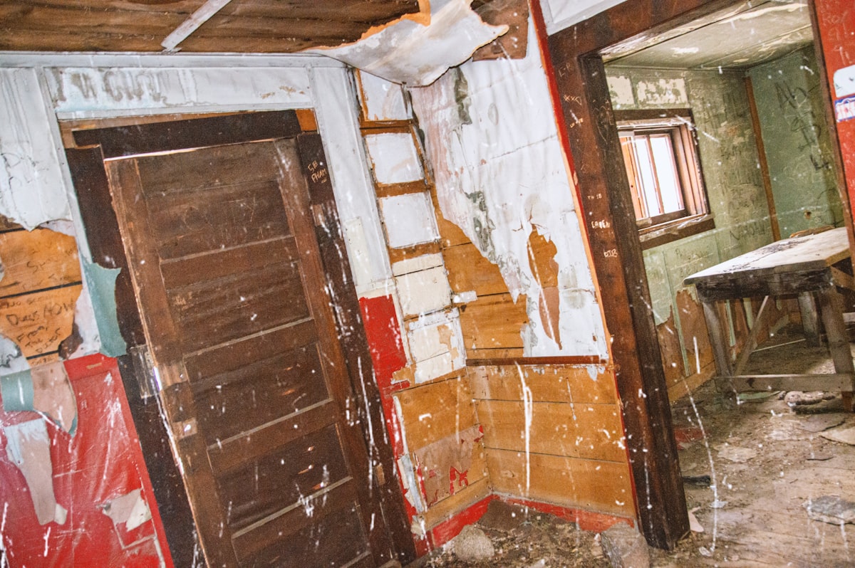 Mold Remediation service in Brandon, FL