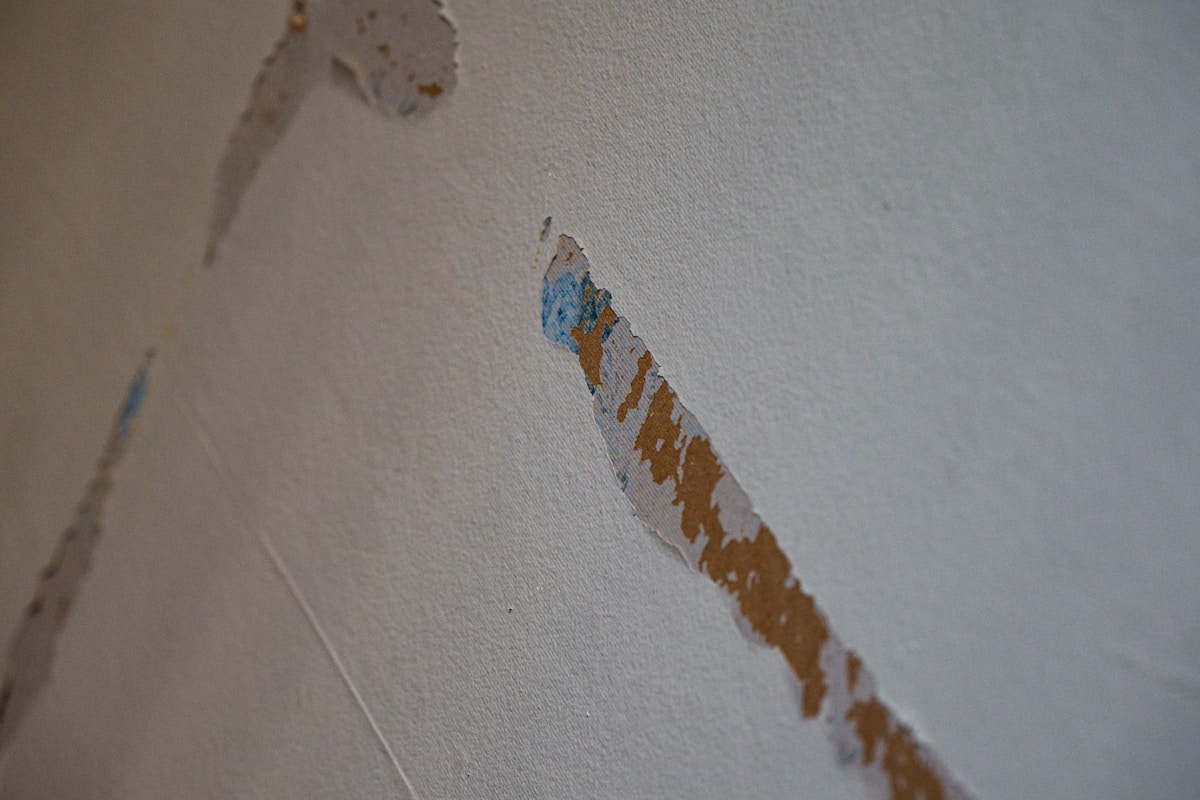 Commercial Water Damage service in Brandon, FL